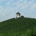  Some vineyards 